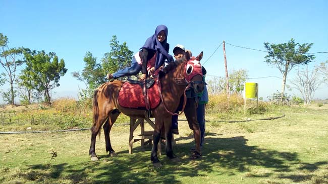 NAIK KUDA: Ani Puspita pengunjung asal Kabupaten Jember saat menikmati keindahan wisata bukit CIP sambil berkeliling naik kuda. (im)